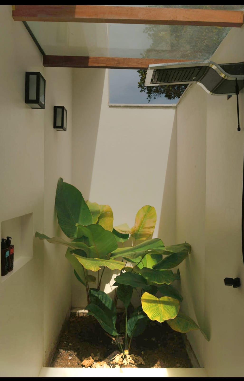 Jardim interno no banheiro